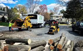 Artificial Turf Installation in West Hurley, NY